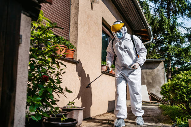 Best Cockroach Control Services  in East Richmond Heights, CA
