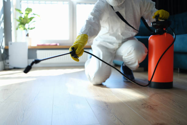 Best Flea Control Services  in East Richmond Heights, CA