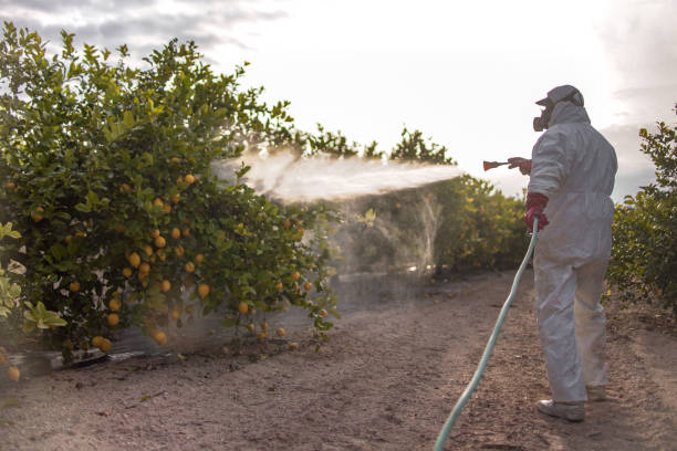 Best Commercial Pest Control Services  in East Richmond Heights, CA
