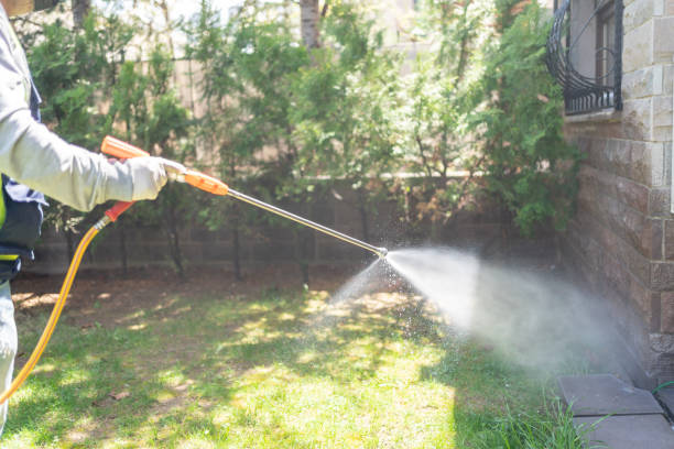 Best Wildlife Control Services  in East Richmond Heights, CA