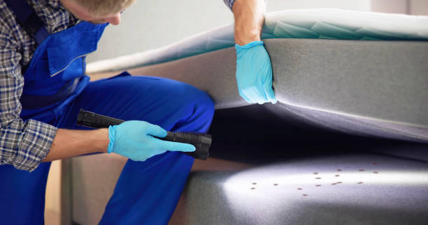 Best Commercial Pest Control Services  in East Richmond Heights, CA