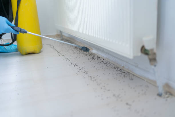 Best Pest Removal Services  in East Richmond Heights, CA