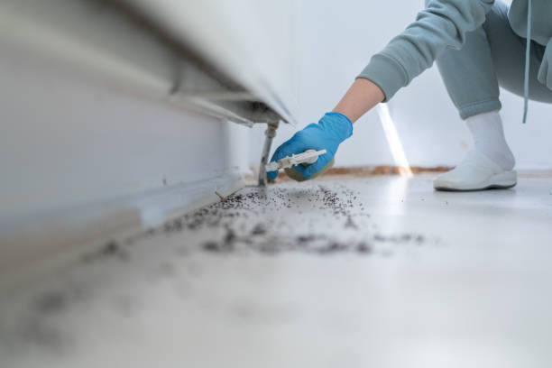 Best Best Pest Control Companies  in East Richmond Heights, CA