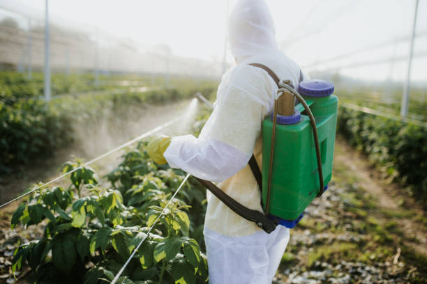 Best Bed Bug Extermination  in East Richmond Heights, CA